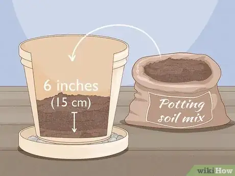 Imagen titulada Plant Potatoes in Pots Step 13