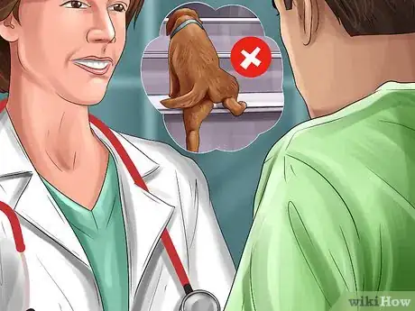 Imagen titulada Gauge Your Senior Dog's Quality of Life Step 2