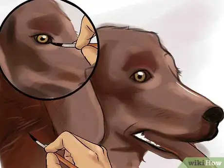 Imagen titulada Paint a Portrait of a Dog Step 11