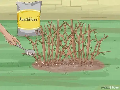 Imagen titulada Prune Azaleas Step 8