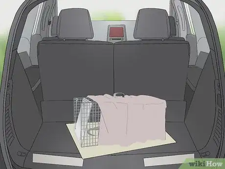 Imagen titulada Trap a Possum Step 7
