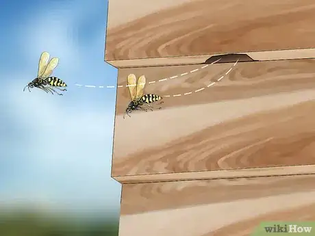 Imagen titulada Kill Yellow Jackets in the Wall Step 9