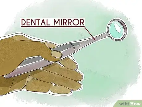 Imagen titulada Brush Your Teeth if You're Blind or Visually Impaired Step 5