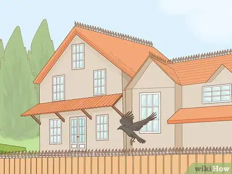 Imagen titulada Get Rid of Crows Step 7