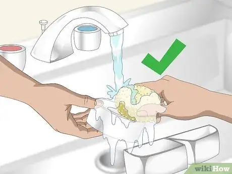 Imagen titulada Care for an Iguana Step 17