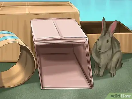 Imagen titulada Raise a Lop Eared Rabbit As a Pet Step 15