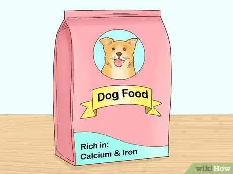 Imagen titulada Get a Dog to Stop Eating Dirt Step 4