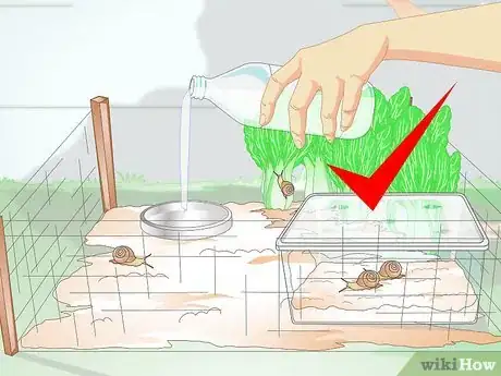Imagen titulada Build a Snail House Step 16