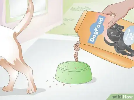 Imagen titulada Feed a Dog Step 8