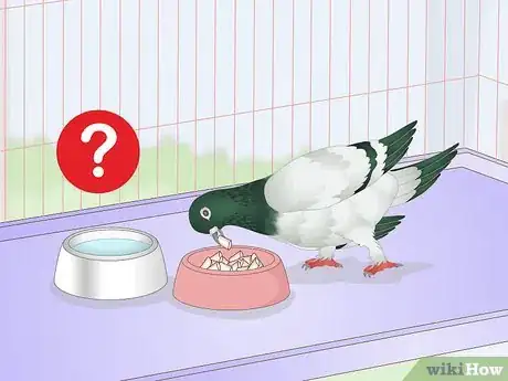 Imagen titulada Spot Signs of Disease in Doves Step 10