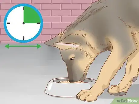 Imagen titulada Care for Dogs Step 6