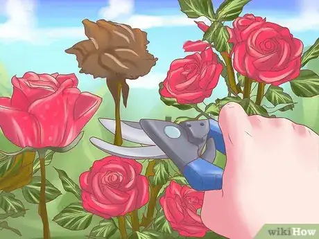 Imagen titulada Make Roses Last Longer Step 13