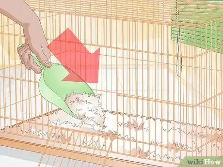 Imagen titulada Clean up After Your Guinea Pig Step 17