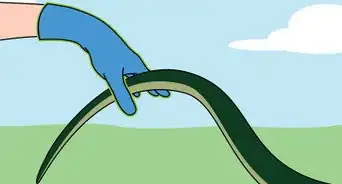 atrapar a una serpiente