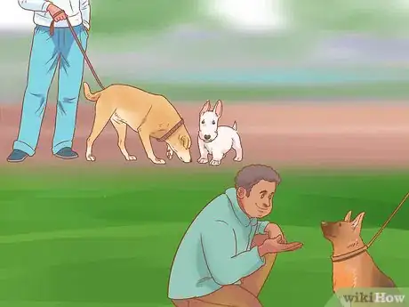 Imagen titulada Introduce a Dog to a Dog Park Step 3