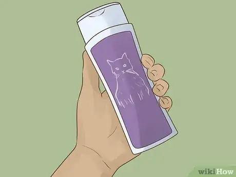 Imagen titulada Make a Homemade Cat Spa Step 2
