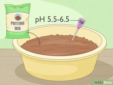 Imagen titulada Grow Strawberries Step 13
