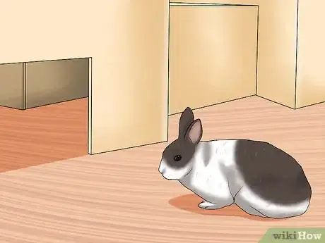 Imagen titulada Care for a House Rabbit Step 16