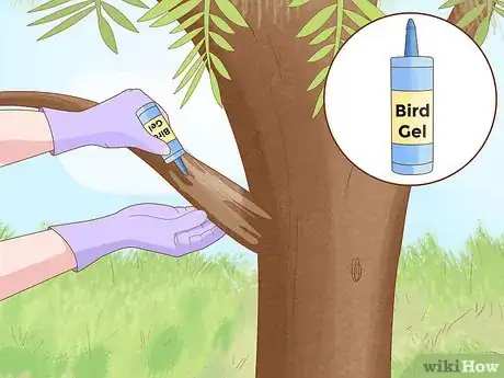 Imagen titulada Get Rid of Crows Step 8