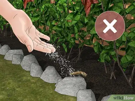 Imagen titulada Does Salt Kill Slugs Step 2