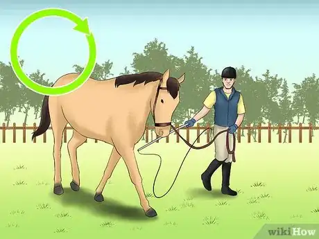 Imagen titulada Teach Your Horse to Lunge Step 7