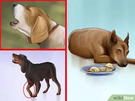 Imagen titulada Gauge Your Senior Dog's Quality of Life Step 5