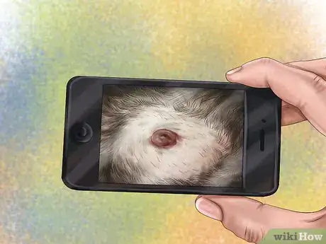 Imagen titulada Diagnose Skin Masses on Dogs Step 5