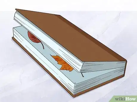 Imagen titulada Preserve Fall Leaves Step 21