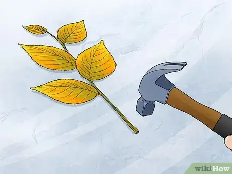 Imagen titulada Preserve Fall Leaves Step 11