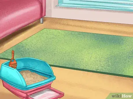 Imagen titulada Retrain a Cat to Use the Litter Box Step 8