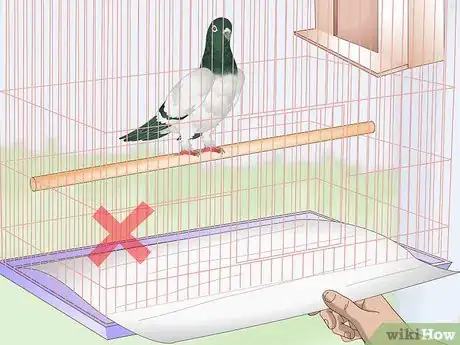 Imagen titulada Spot Signs of Disease in Doves Step 12