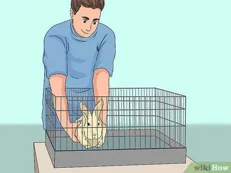 Imagen titulada Pick up a Rabbit Step 6