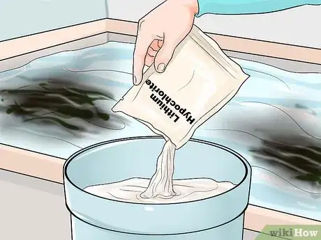 Imagen titulada Get Rid of Blackspot Algae in Your Swimming Pool Step 10
