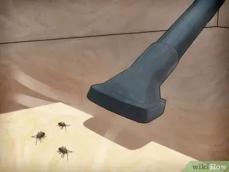 Imagen titulada Get Rid of Stink Bugs Naturally Step 7