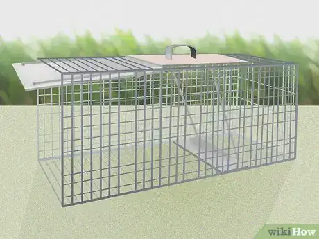 Imagen titulada Trap a Possum Step 2