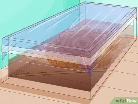 Imagen titulada Preserve Bark Step 5
