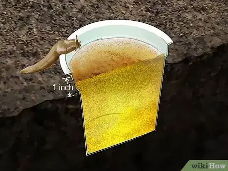 Imagen titulada Does Salt Kill Slugs Step 8