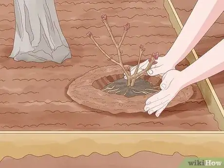 Imagen titulada Create Tree Flower Beds Step 10