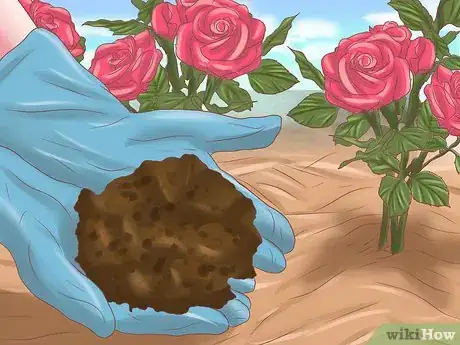 Imagen titulada Make Roses Last Longer Step 10