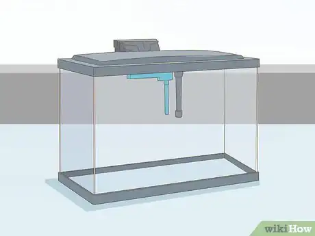 Imagen titulada Care for an Angelfish Step 1