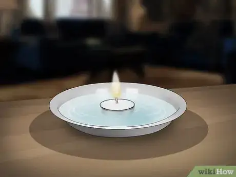 Imagen titulada Get Rid of Fleas Naturally Step 5