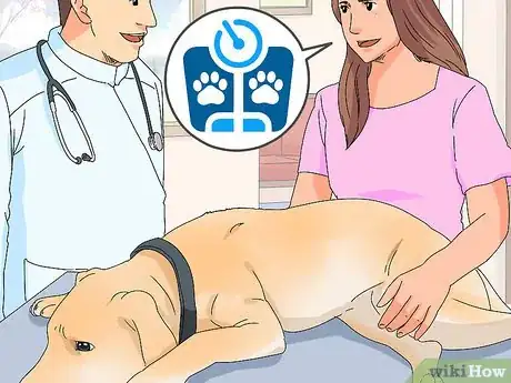 Imagen titulada Build a Dog's Muscles Step 8