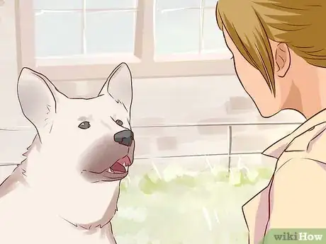 Imagen titulada Tell Your Dog No Step 4