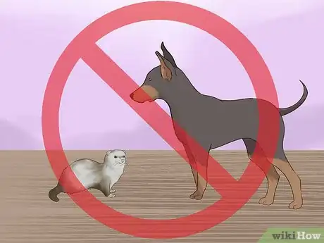 Imagen titulada Keep Ferrets in a Home with Other Pets Step 4