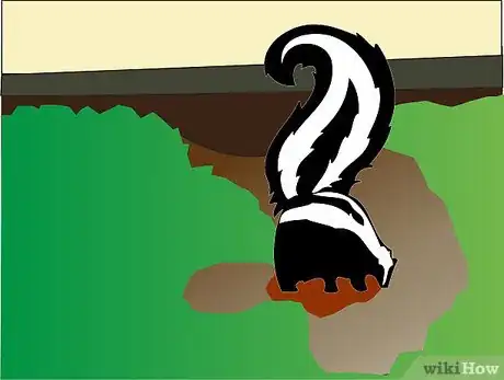 Imagen titulada Get a Skunk to Leave Step 7