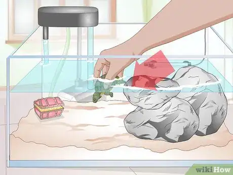 Imagen titulada Clean a Turtle Tank Step 16