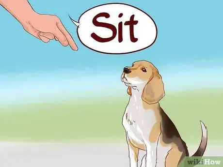 Imagen titulada Train Beagles Step 3
