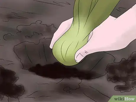 Imagen titulada Keep Narcissus Bulbs After Flowering Step 12
