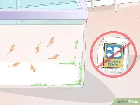 Imagen titulada Care for Sea Monkeys Step 7