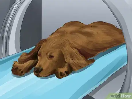 Imagen titulada Diagnose Canine Ear Infections Step 11